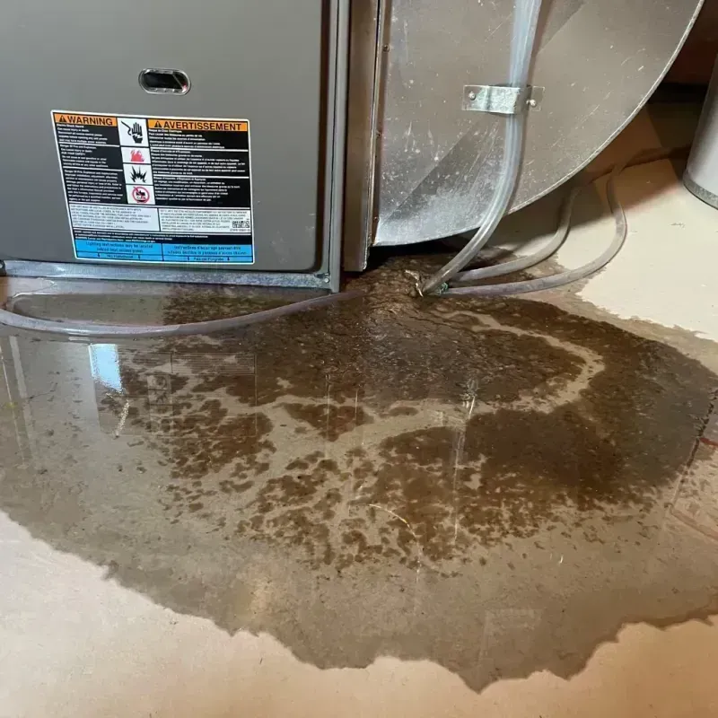 Appliance Leak Cleanup in Grand Boulevard, IL